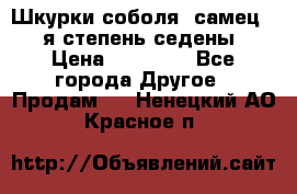 Шкурки соболя (самец) 1-я степень седены › Цена ­ 12 000 - Все города Другое » Продам   . Ненецкий АО,Красное п.